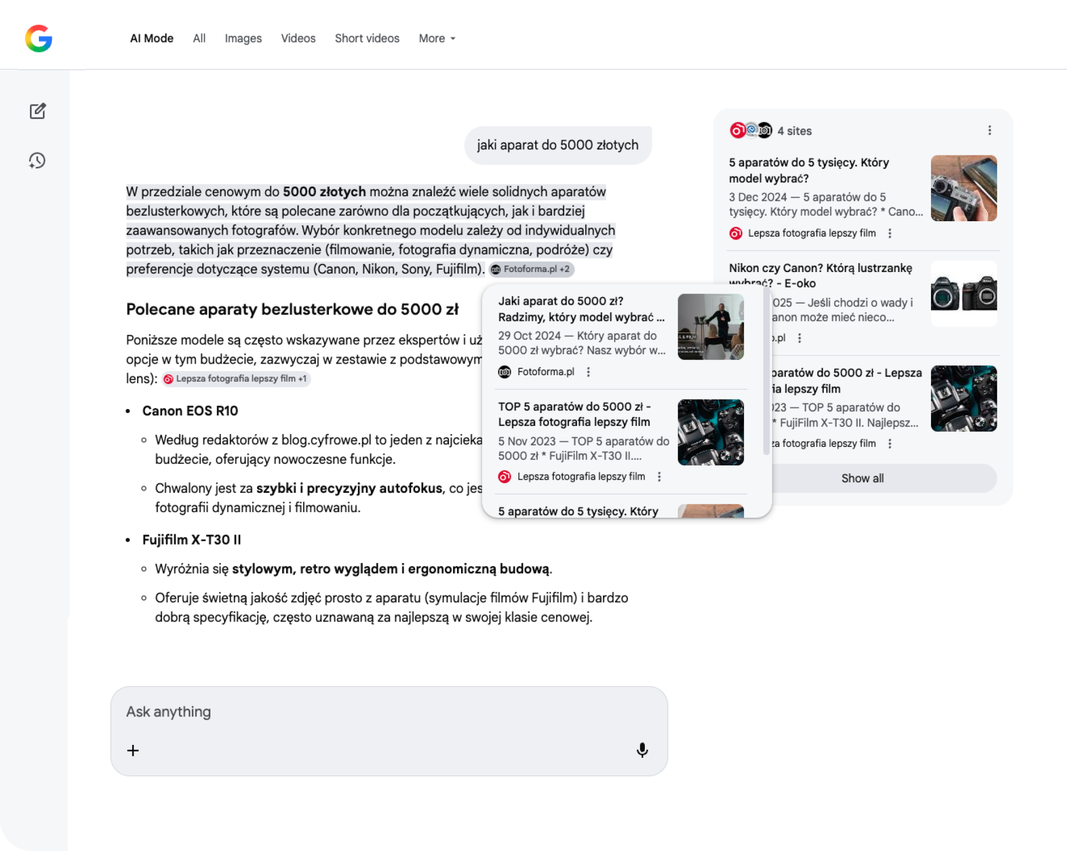 Obecność w Google AI Overviews